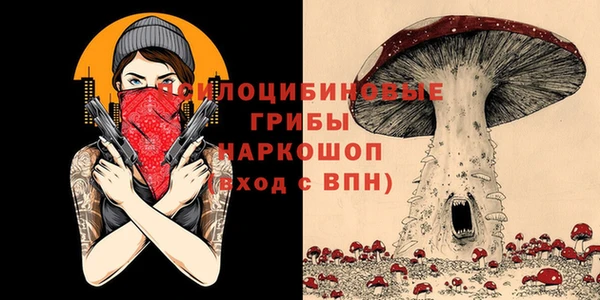 бошки Нея