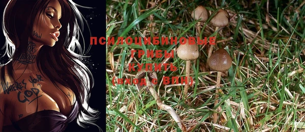 мескалин Нефтегорск