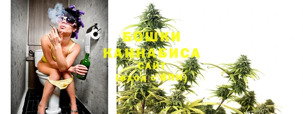 бошки Нея
