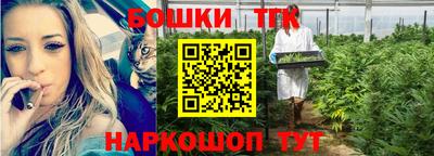 гашик Абакан