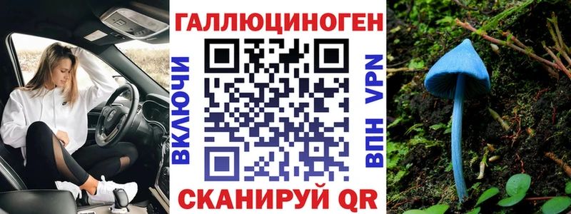 mega ТОР Люберцы Галлюциногенные грибы Psilocybine cubensis