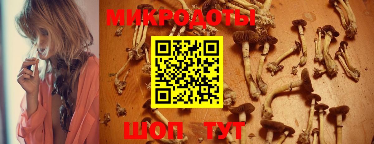 Люберцы  Галлюциногенные грибы Cubensis  Псилоцибиновые грибы мицелий  Вход с VPN 