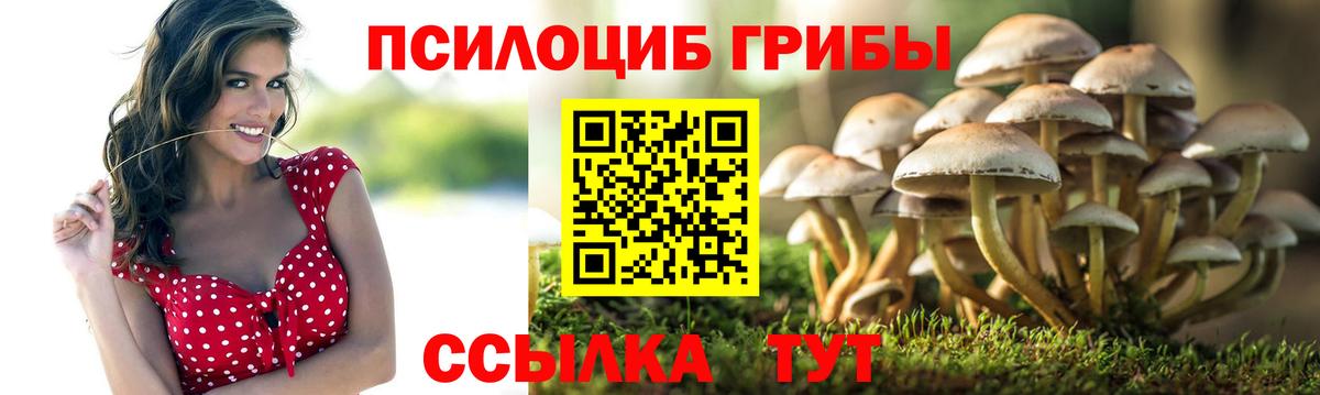Псилоцибиновые грибы GOLDEN TEACHER Люберцы
